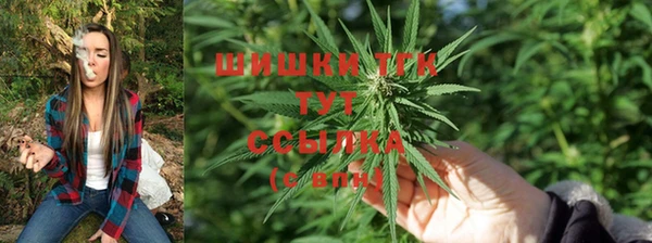 мяу мяу мука Дмитров