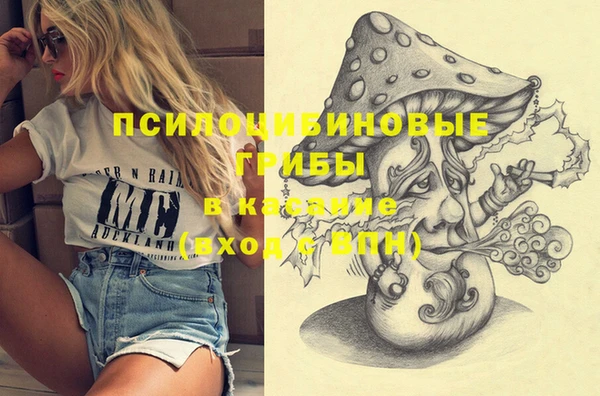 МДПВ Дмитровск